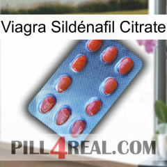 Viagra Sildénafil Citrate 06